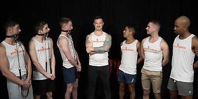 Studloads: Marking the Stallions Stud Loads Vol. 4