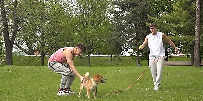 BelamiOnline: Billy Coogan and Josh Mendes