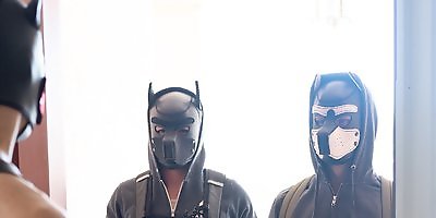 Carnaloriginals: House Pups Pup Play - Dylan Tides, Hugo Dupre, Lane Colten and Zander Woodz