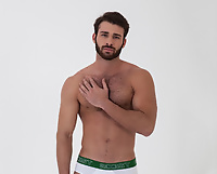 Jarec Wentworth and Richard Pierce are two hot nude men fucking 