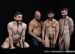 Stable Master Stud Loads
