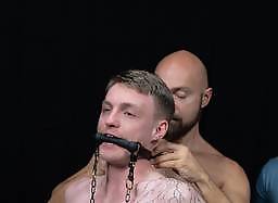 Stable Master Stud Loads