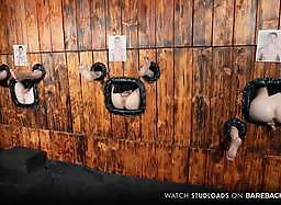 Studloads: Breeding Wall Stud Loads Vol. Three