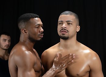 Studloads: Marking the Stallions Stud Loads Vol. Five