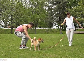 BelamiOnline: Billy Coogan and Josh Mendes