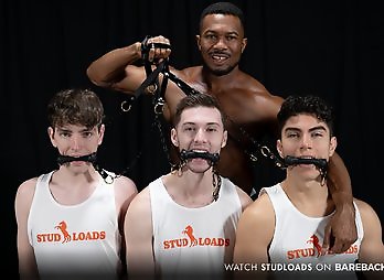 Studloads: Stable Master Stud Loads Vol. Six