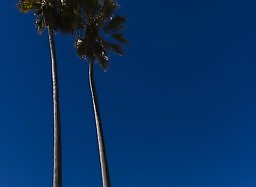 CockyBoys: CALIFORNIA GLOW - Derek Kage and Siren Santiago