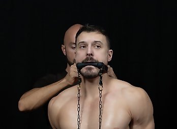 Studloads: Stable Master Stud Loads - Adam Snow, Canyon Cole, Felix Trainor and Finn August