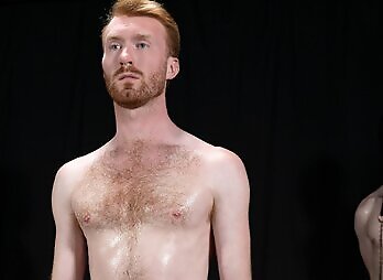 Studloads: Stallion Assessment Stud Loads Volume Nine