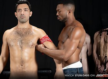 Studloads: Stallion Assessment Stud Loads Volume Nine