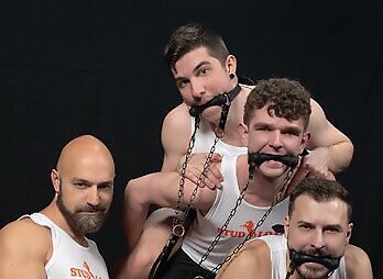 Studloads: Mare Assessment Stud Loads Vol. 10 - Adam Snow, Canyon Cole, Felix Trainor And Harrison Todd