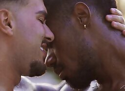 Falcon Studios X NakedSword: Casa Del Sol With Pol Prince And Alejo Love