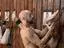 Studloads: Breeding Wall Stud Loads Vol. 4