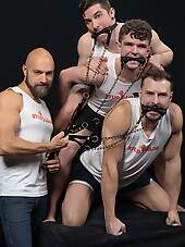 Studloads: Mare Assessment Stud Loads Vol. 10 - Adam Snow, Canyon Cole, Felix Trainor And Harrison Todd