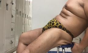 animal print rio YMCA